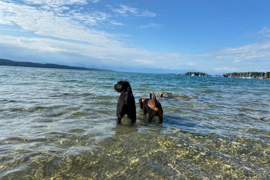 Nemos Paradies - Top Lage Am See Und Sbahn Pocking  Exterior foto